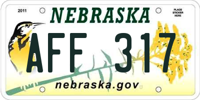 NE license plate AFF317