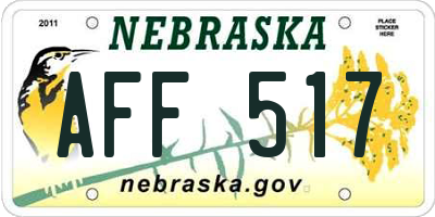 NE license plate AFF517