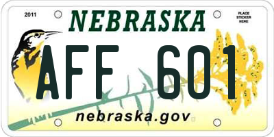 NE license plate AFF601