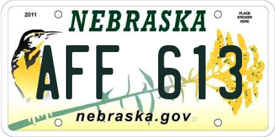NE license plate AFF613