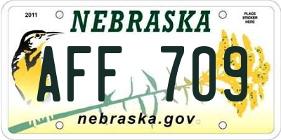 NE license plate AFF709