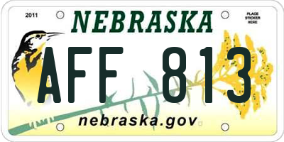 NE license plate AFF813