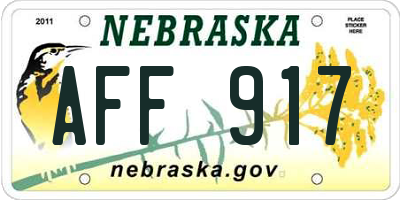 NE license plate AFF917