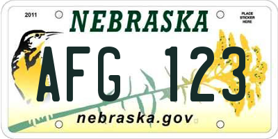 NE license plate AFG123