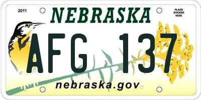 NE license plate AFG137