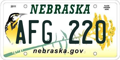 NE license plate AFG220