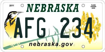 NE license plate AFG234