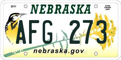 NE license plate AFG273