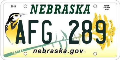 NE license plate AFG289