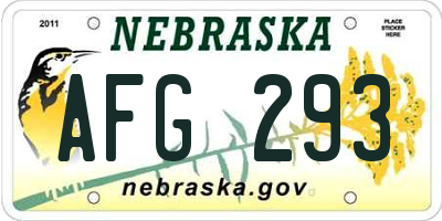 NE license plate AFG293