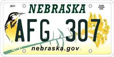 NE license plate AFG307