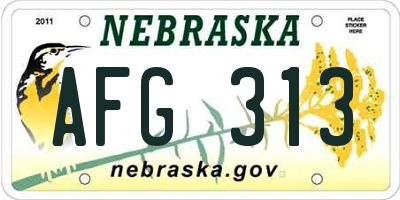 NE license plate AFG313