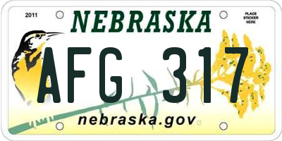 NE license plate AFG317