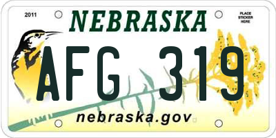 NE license plate AFG319