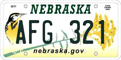 NE license plate AFG321