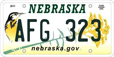 NE license plate AFG323