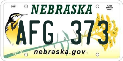 NE license plate AFG373