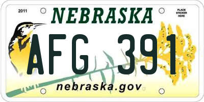 NE license plate AFG391