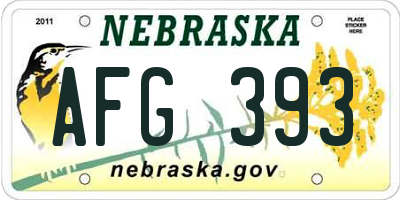 NE license plate AFG393