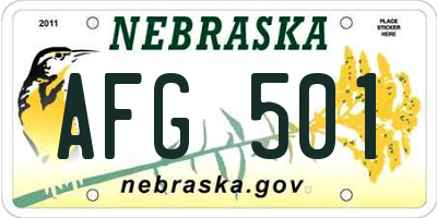 NE license plate AFG501