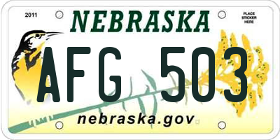 NE license plate AFG503