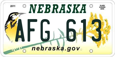 NE license plate AFG613