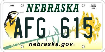 NE license plate AFG615