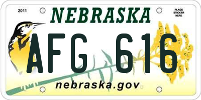 NE license plate AFG616