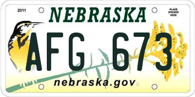 NE license plate AFG673
