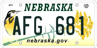 NE license plate AFG681
