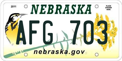 NE license plate AFG703