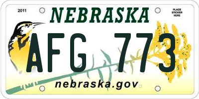 NE license plate AFG773