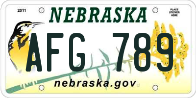 NE license plate AFG789