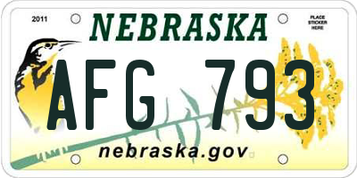 NE license plate AFG793