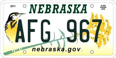 NE license plate AFG967