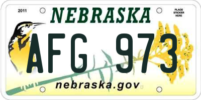 NE license plate AFG973