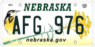 NE license plate AFG976
