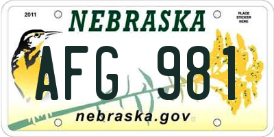 NE license plate AFG981