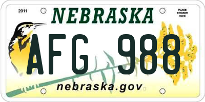 NE license plate AFG988