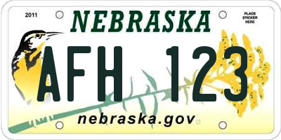 NE license plate AFH123