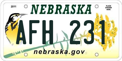 NE license plate AFH231