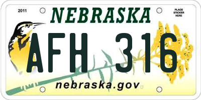 NE license plate AFH316