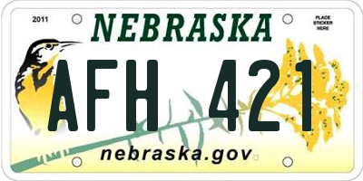NE license plate AFH421