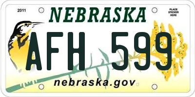 NE license plate AFH599