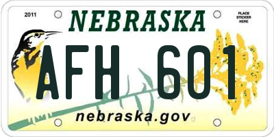 NE license plate AFH601