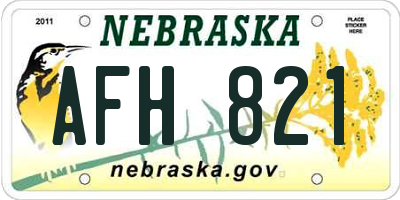 NE license plate AFH821