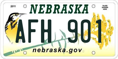 NE license plate AFH901