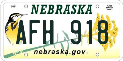 NE license plate AFH918