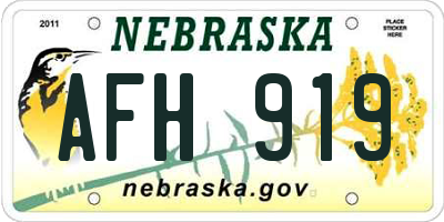 NE license plate AFH919