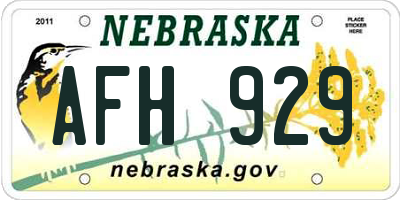 NE license plate AFH929